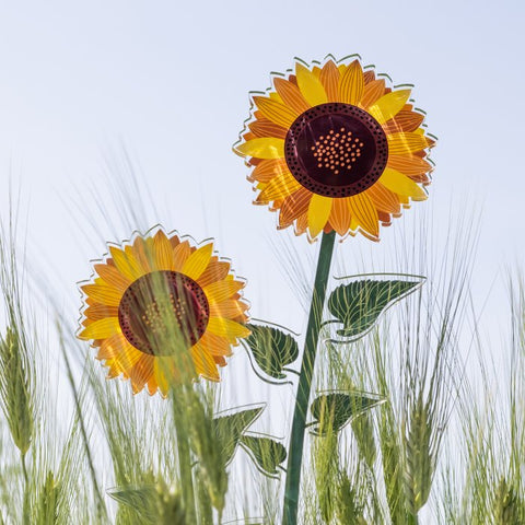 Vesta Funny Flowers Girasole Piccolo Funny in Cristallo Acrilico