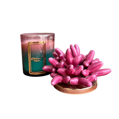 Melaverde Candela Bicolore Anemone Fucsia in Ceramica 200g