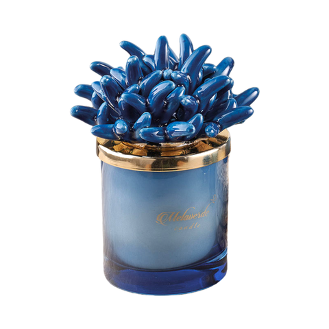 Melaverde Candela Grande Anemone Blu 300 gr
