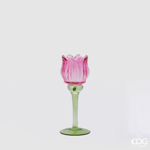 EDG Enzo De Gasperi Portacandela Tulipano H19 cm Fucsia